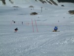 DSCF0085.JPG (45KB)