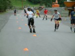 DSCF0003.JPG (44KB)