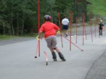 DSCF0035.JPG (41KB)