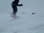 DSCF0131.JPG (19KB)