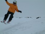 DSCF0137.JPG (20KB)