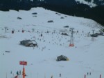 DSCF0004.JPG (33KB)
