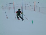 DSCF0033.JPG (22KB)