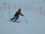 DSCF0035.JPG (24KB)