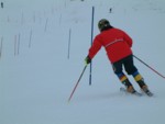 DSCF0043.JPG (23KB)