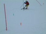 DSCF0058.JPG (15KB)