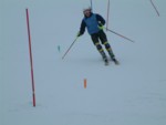 DSCF0063.JPG (17KB)