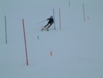 DSCF0068.JPG (14KB)