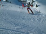DSCF0070.JPG (55KB)