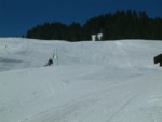 DSCF0008.JPG (30KB)