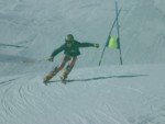 DSCF0119.JPG (36KB)