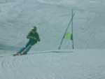 DSCF0142.JPG (36KB)