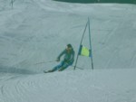 DSCF0157.JPG (36KB)