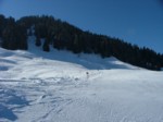DSCF2029.JPG (43KB)