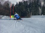 DSCF2048.JPG (61KB)