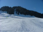 DSCF2069.JPG (47KB)