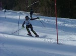 DSCF4233.JPG (45KB)