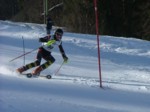 DSCF4235.JPG (47KB)