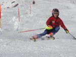 DSCF0248.JPG (45KB)