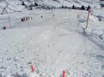 DSCF0249.JPG (59KB)