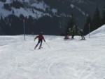 DSCF0303.JPG (44KB)
