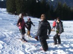 DSCF0377.JPG (70KB)