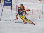 DSCF0412.JPG (49KB)