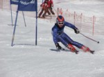 DSCF0413.JPG (44KB)