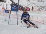 DSCF0416.JPG (59KB)