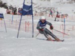 DSCF0417.JPG (52KB)
