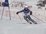 DSCF0418.JPG (54KB)