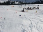 DSCF0428.JPG (50KB)
