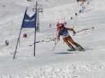 DSCF0431.JPG (53KB)