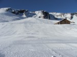 DSCF0882.JPG (50KB)