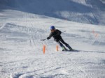 DSCF0888.JPG (59KB)