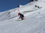 DSCF1126.JPG (48KB)