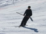 40 DSCF1290.JPG (52KB)