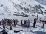 DSCF1531.JPG (72KB)