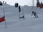 DSCF1554.JPG (35KB)