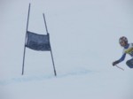DSCF1571.JPG (16KB)