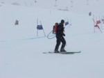 DSCF1574.JPG (18KB)