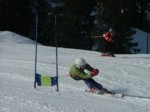 DSCF6342.JPG (46KB)