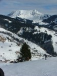 DSCF6349.JPG (55KB)