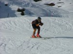 DSCF6353.JPG (49KB)