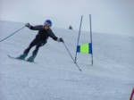 DSCF6398.JPG (32KB)