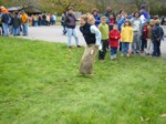 IMG_0294.JPG (66KB)