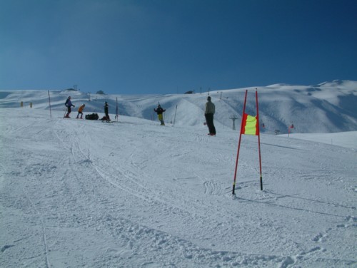 DSCF0040.JPG (40KB)