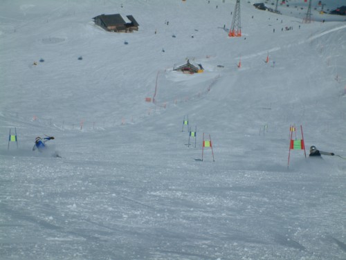 DSCF0051.JPG (37KB)