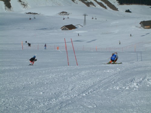 DSCF0085.JPG (45KB)