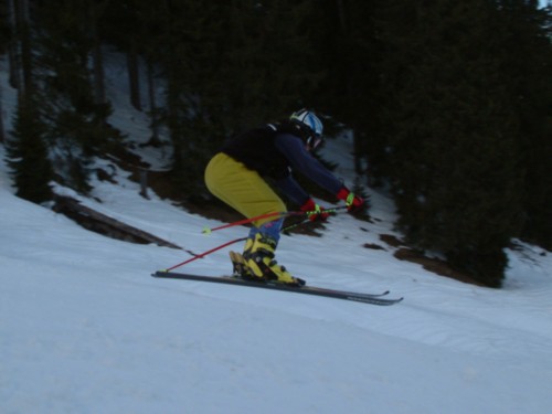 DSCF0257.JPG (29KB)
